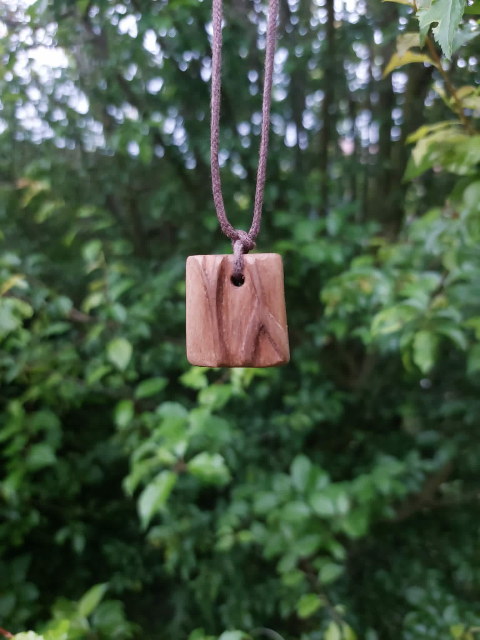 veine en bois